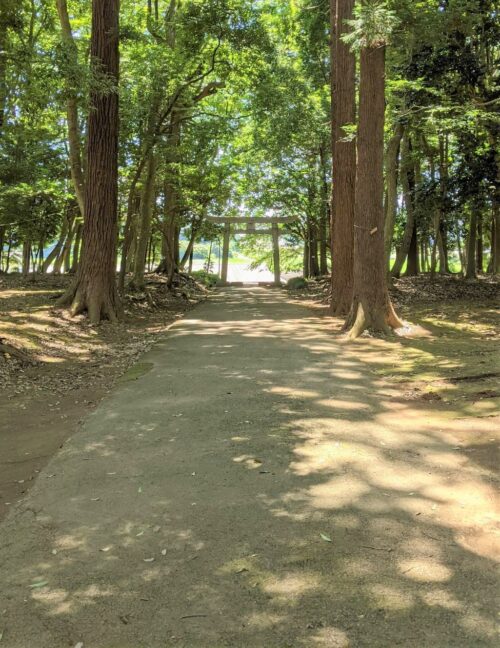 神社 参道